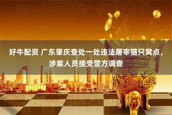 好牛配资 广东肇庆查处一处违法屠宰猫只窝点，涉案人员接受警方调查