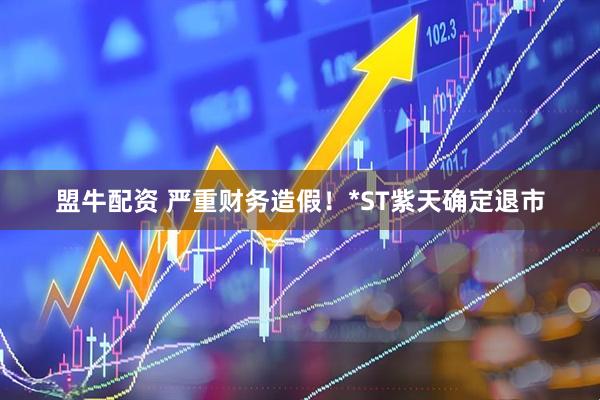 盟牛配资 严重财务造假！*ST紫天确定退市