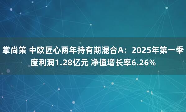 掌尚策 中欧匠心两年持有期混合A：2025年第一季度利润1.28亿元 净值增长率6.26%