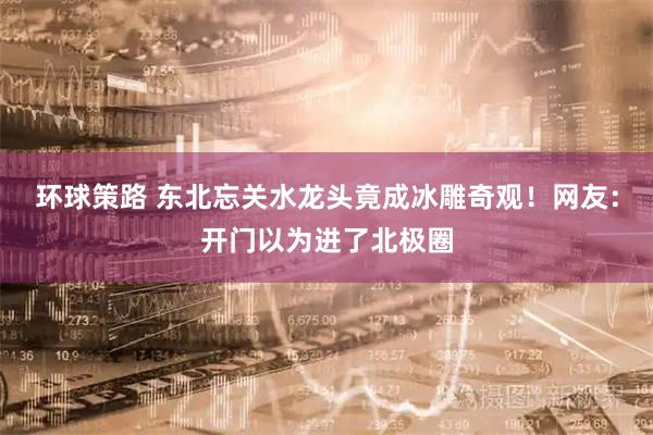 环球策路 东北忘关水龙头竟成冰雕奇观！网友：开门以为进了北极圈
