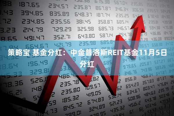 策略宝 基金分红：中金普洛斯REIT基金11月5日分红